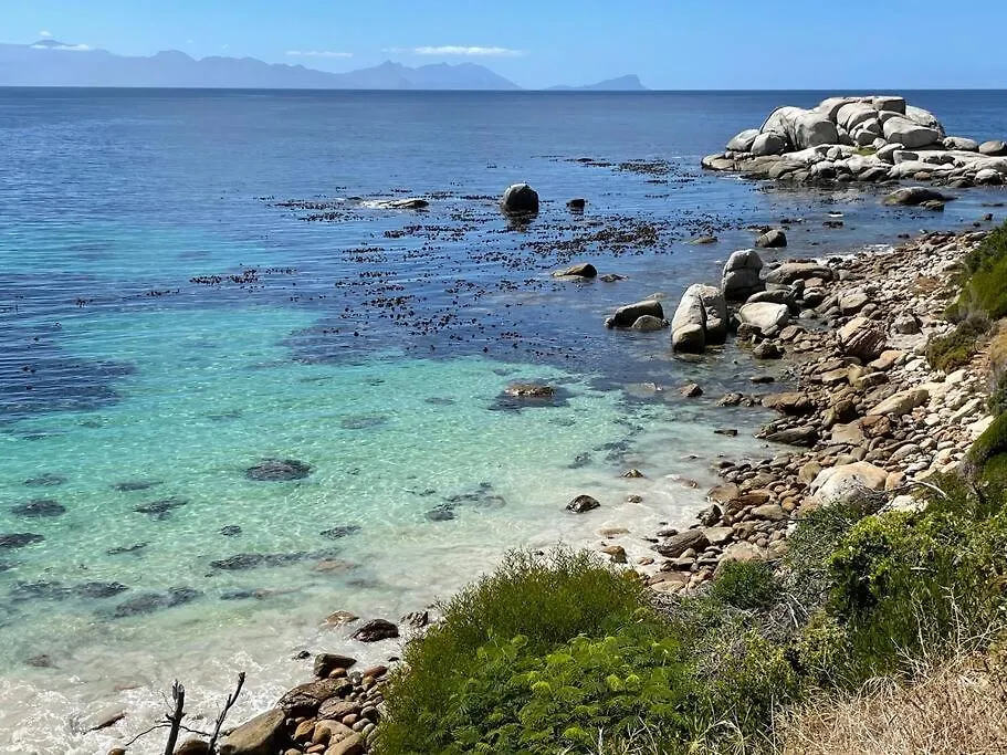 Vitamin-Sea Cape Town 0*,