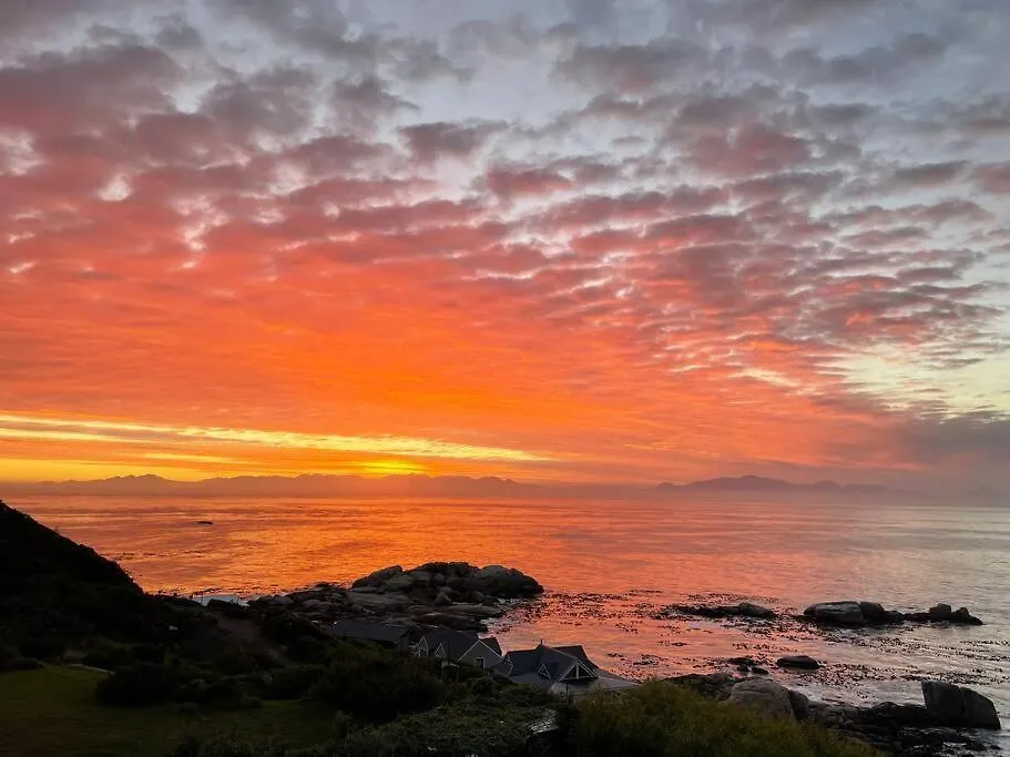 Vitamin-Sea Cape Town Daire